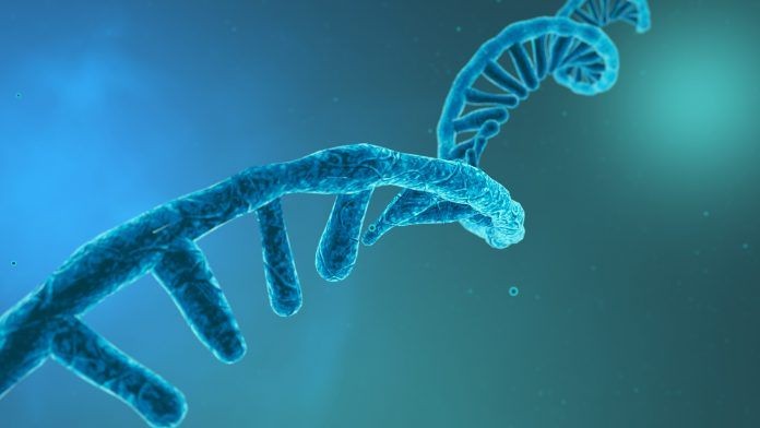 RewriteTherapeutics